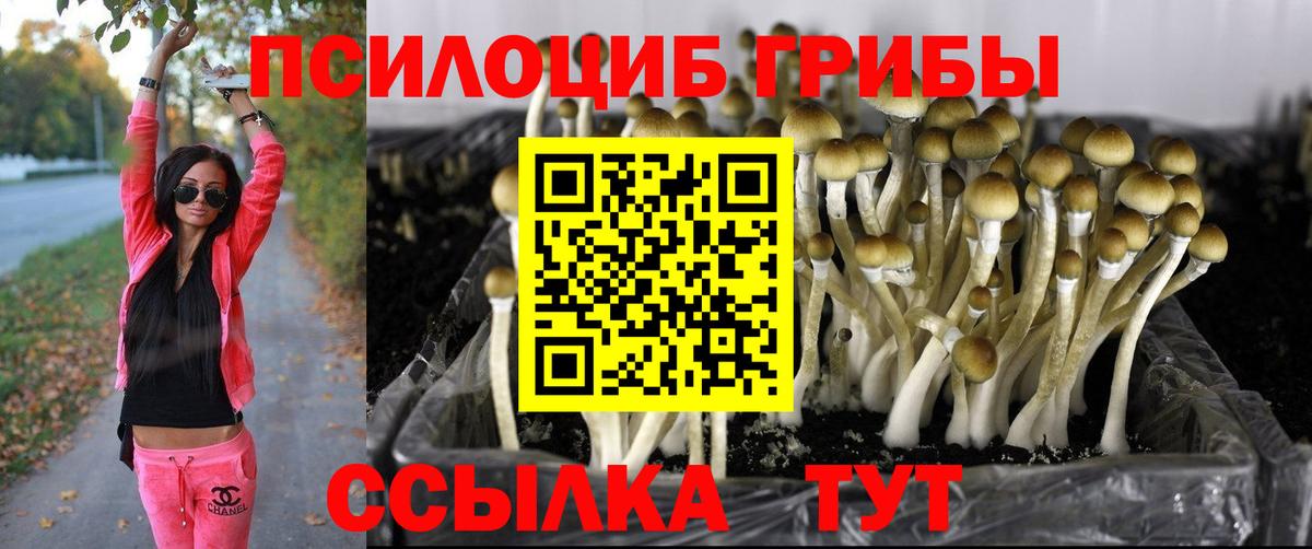 Псилоцибиновые грибы Psilocybine cubensis  Псилоцибиновые грибы Psilocybe  Майский  Вход с VPN 