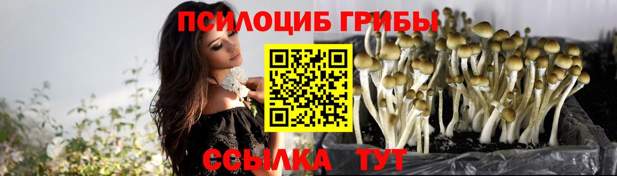 Псилоцибиновые грибы ЛСД Майский